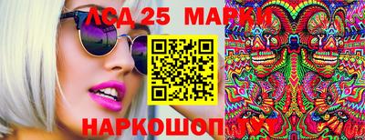 СК Краснодар