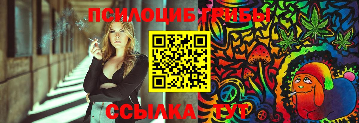 наркотики  Псилоцибиновые грибы Cubensis  Вход с VPN  Каменск-Шахтинский 